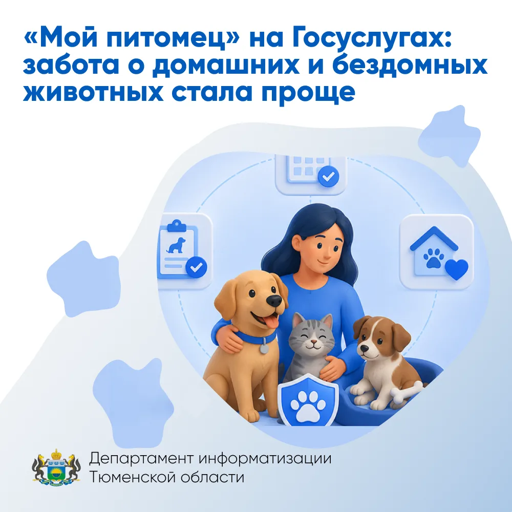 «Мой питомец» на Госуслугах: забота о домашних и бездомных животных стала проще