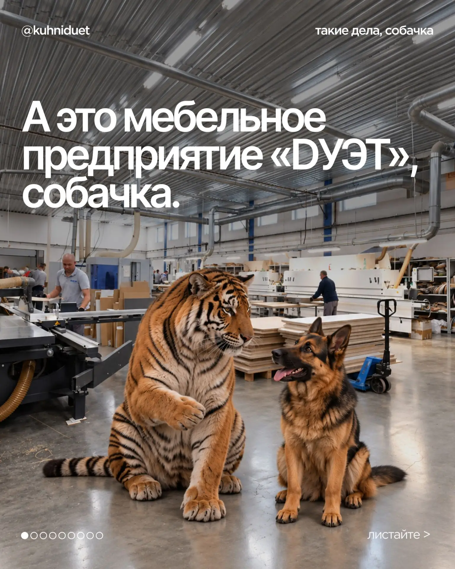 Вот такие у нас тут в DУЭТ дела, собачка💙