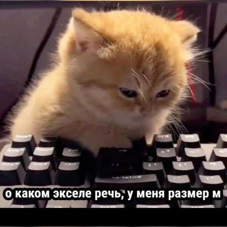🤔Выходные в Кинопарке прошли очень насыщенно, теперь погружаемся в рабочую рутину. И стараемся не гр