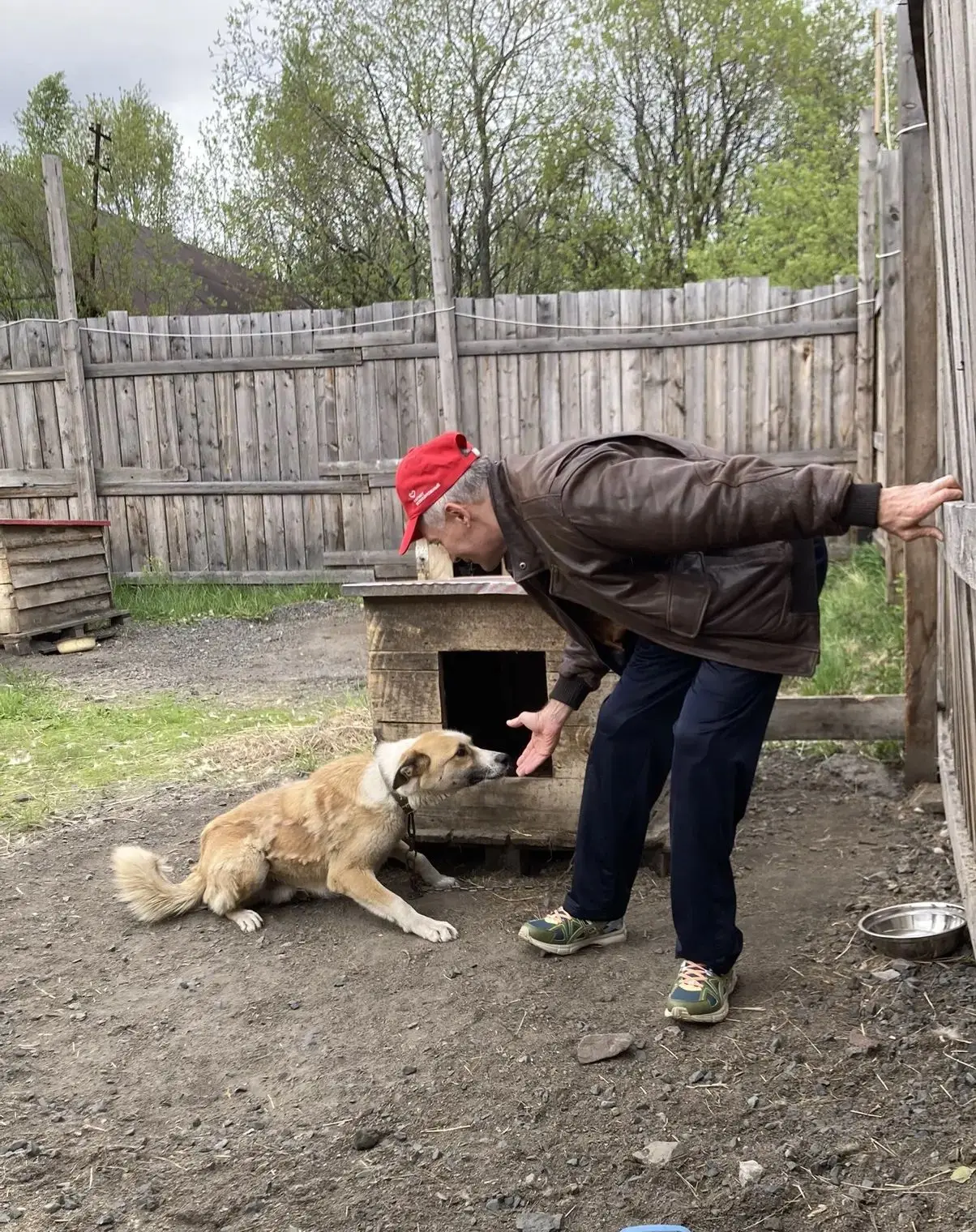 Подарки в «Собачий ангел»