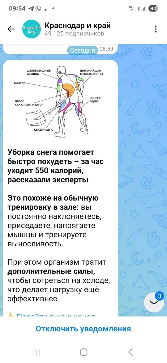 Медиа публикации