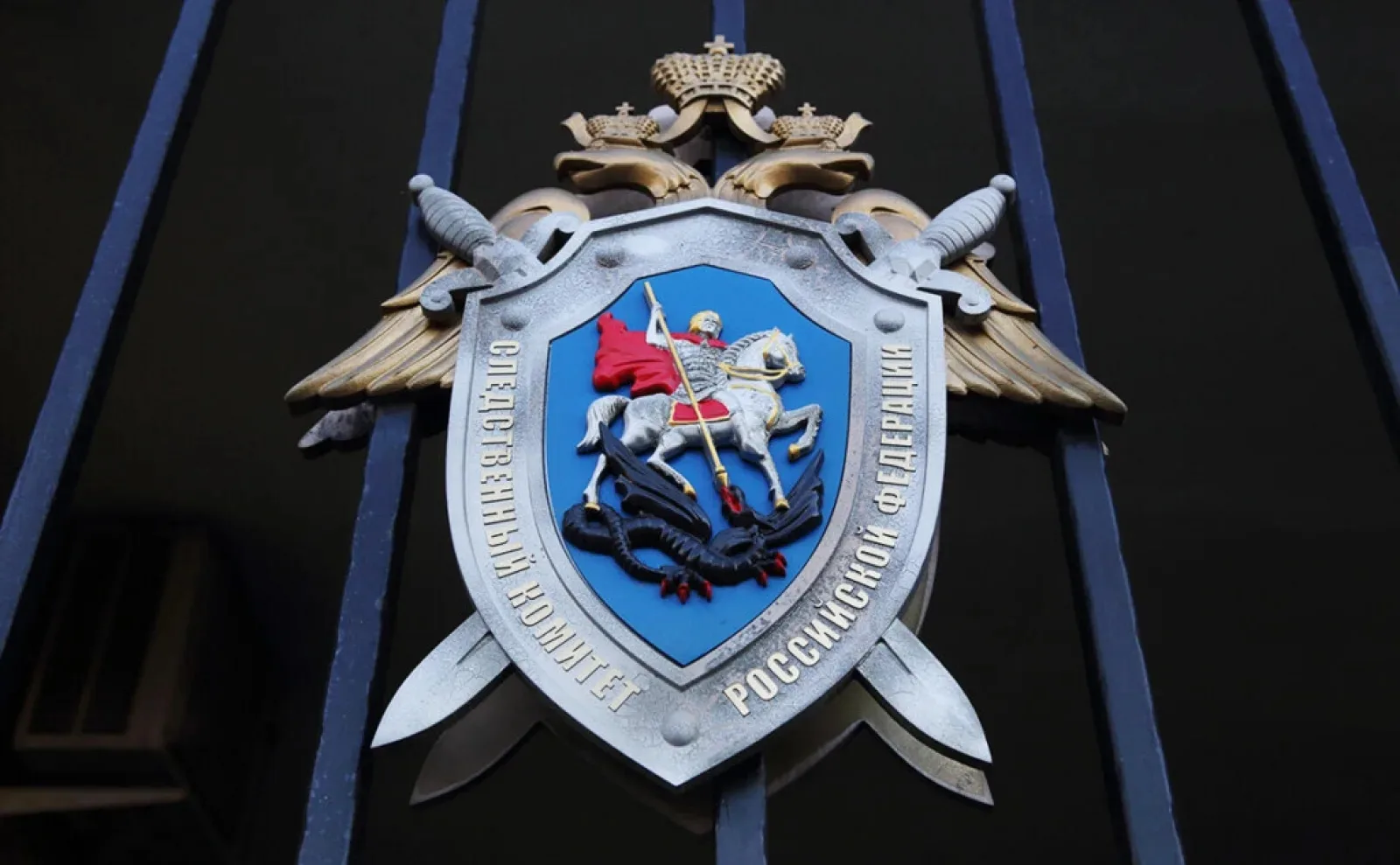 Следком: «⚖️В Великом Новгороде мужчина предстанет перед судом за публичное демонстриро...