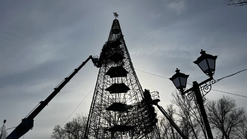 Главную новогоднюю ёлку в Черногорском парке почти разобрали