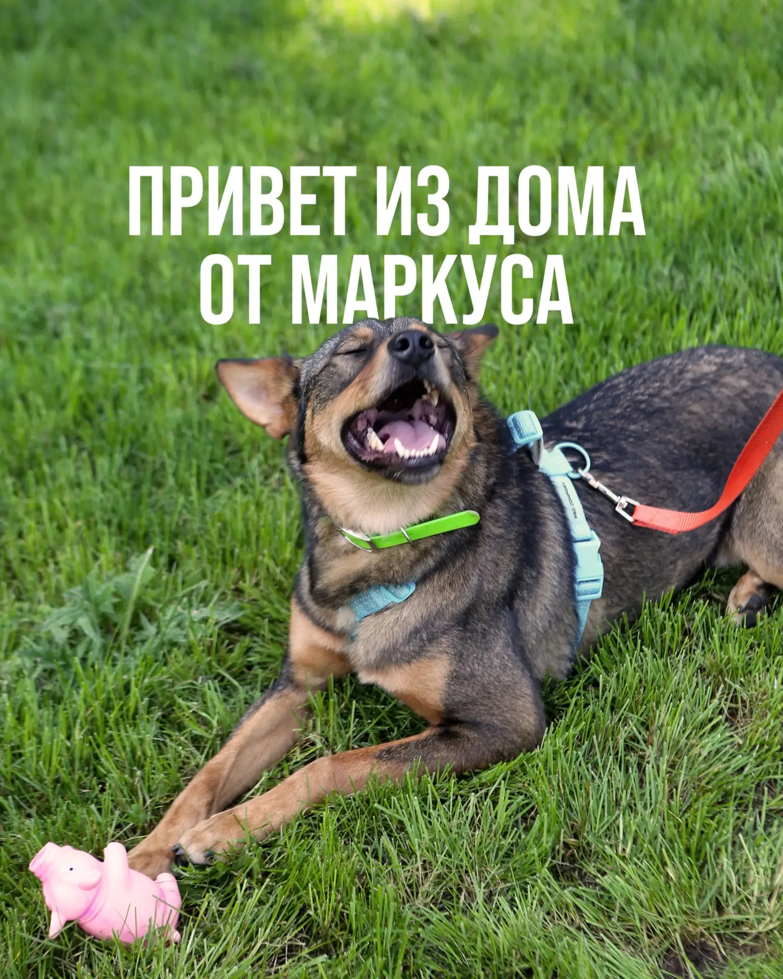 Вот такой теплый привет из дома мы получили от нашего выпускника Маркуса 🥹🩵