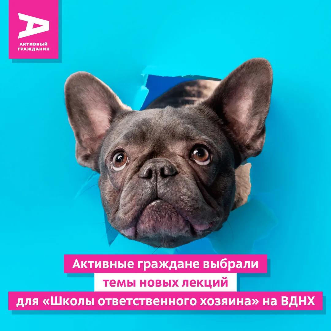 Хотите, чтобы ваш питомец был здоровым и послушным? Приходите на бесплатные занятия в «Школу ответст