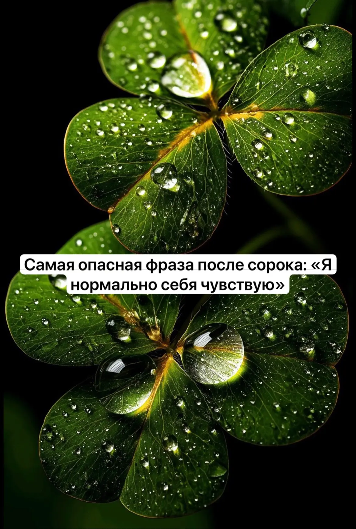 Доброе утро, мои дорогие! 

Есть фраза, которую я слышу очень часто.

«Да вроде всё нормально. Ничег