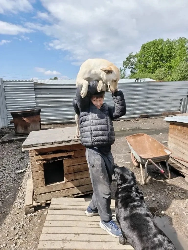 23 мая 6а класс практически в полном составе вместе с родителями поехал в самый старый приют Санкт-П