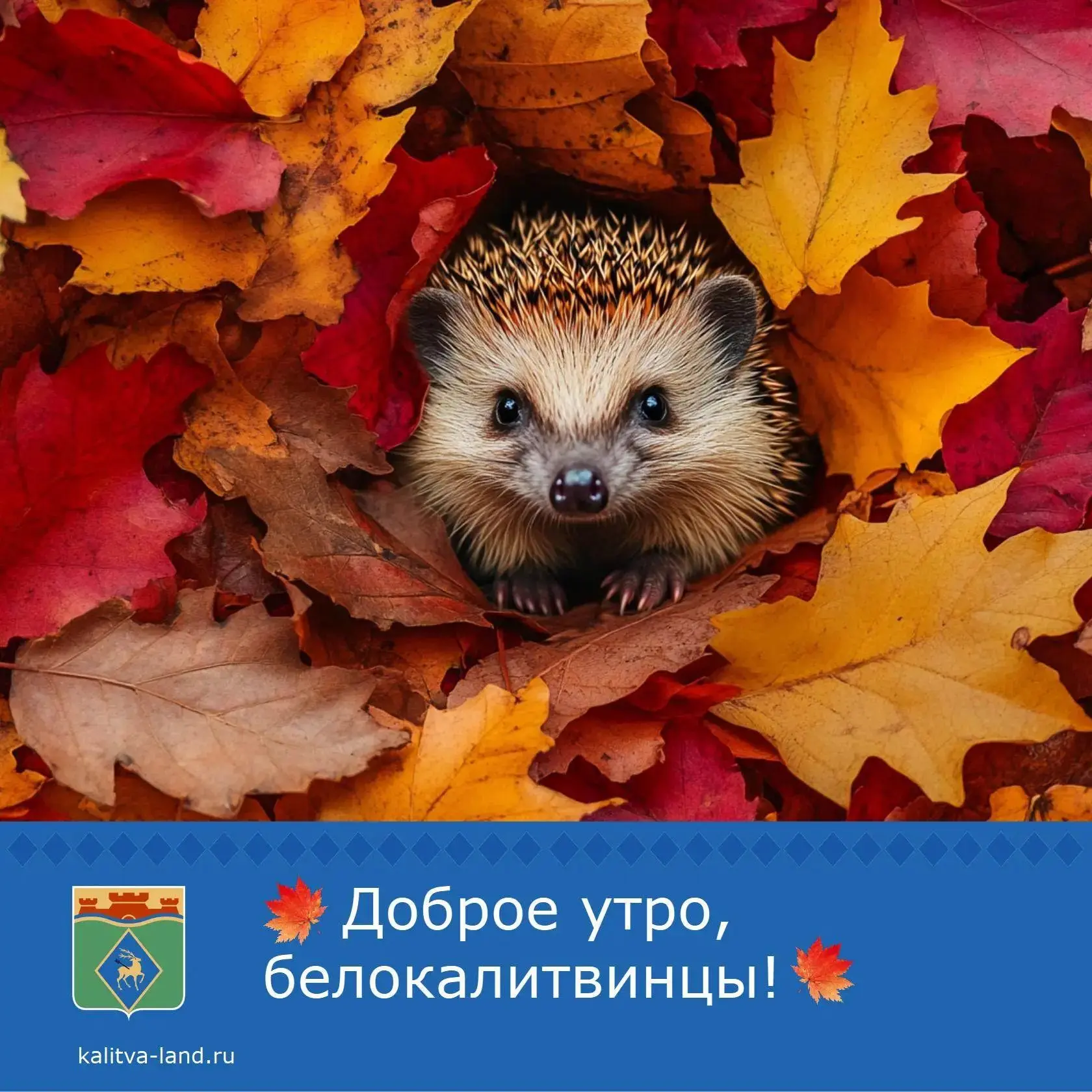 ☀️ Доброе утро, белокалитвинцы!