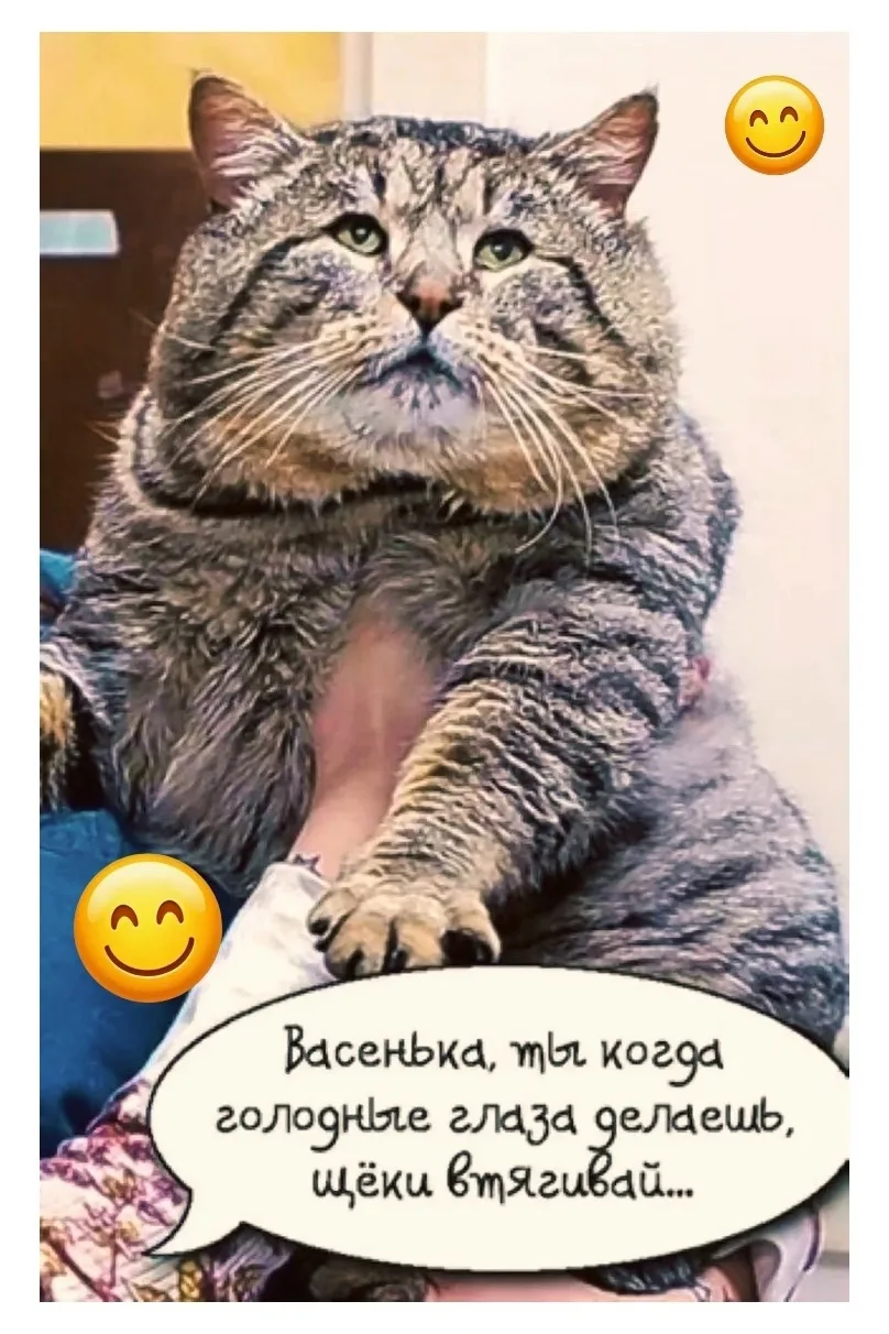 Смешные картинки и видео каждый день 🤣