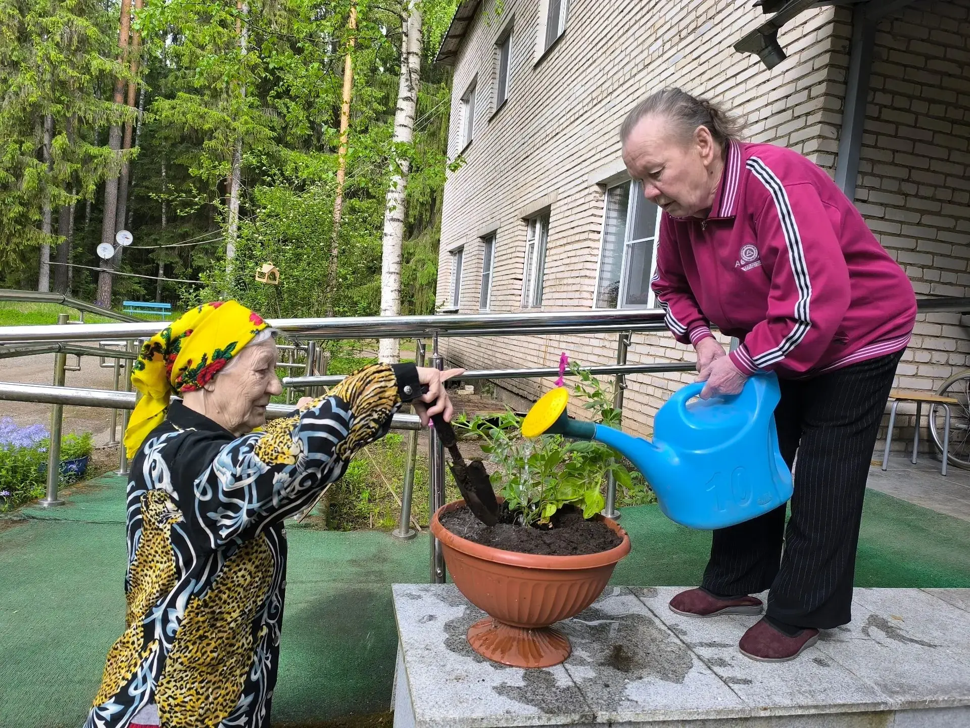 В стационарном отделении с. Анциферово проживающие и сотрудники дружно высадили цветы в...