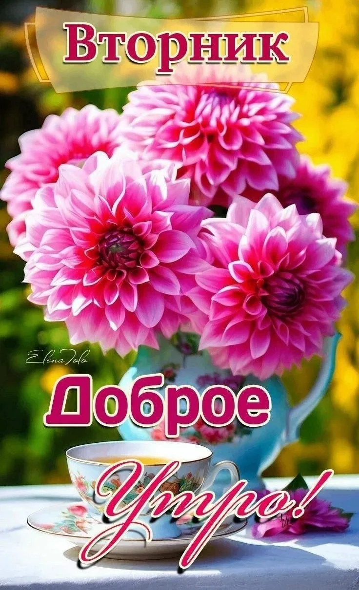🥰 Ставьте реакции и делитесь открыткой с близкими ❤️

💌 Лучшие Открытки в MAX! 👉 Подписаться