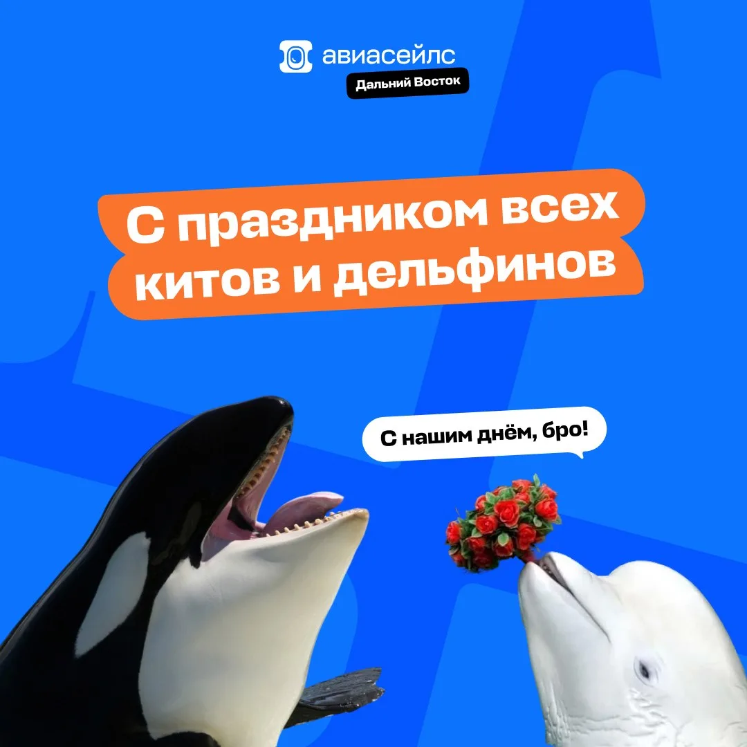 Мы знаем, о чём ваши самые влажные мечты… 💦