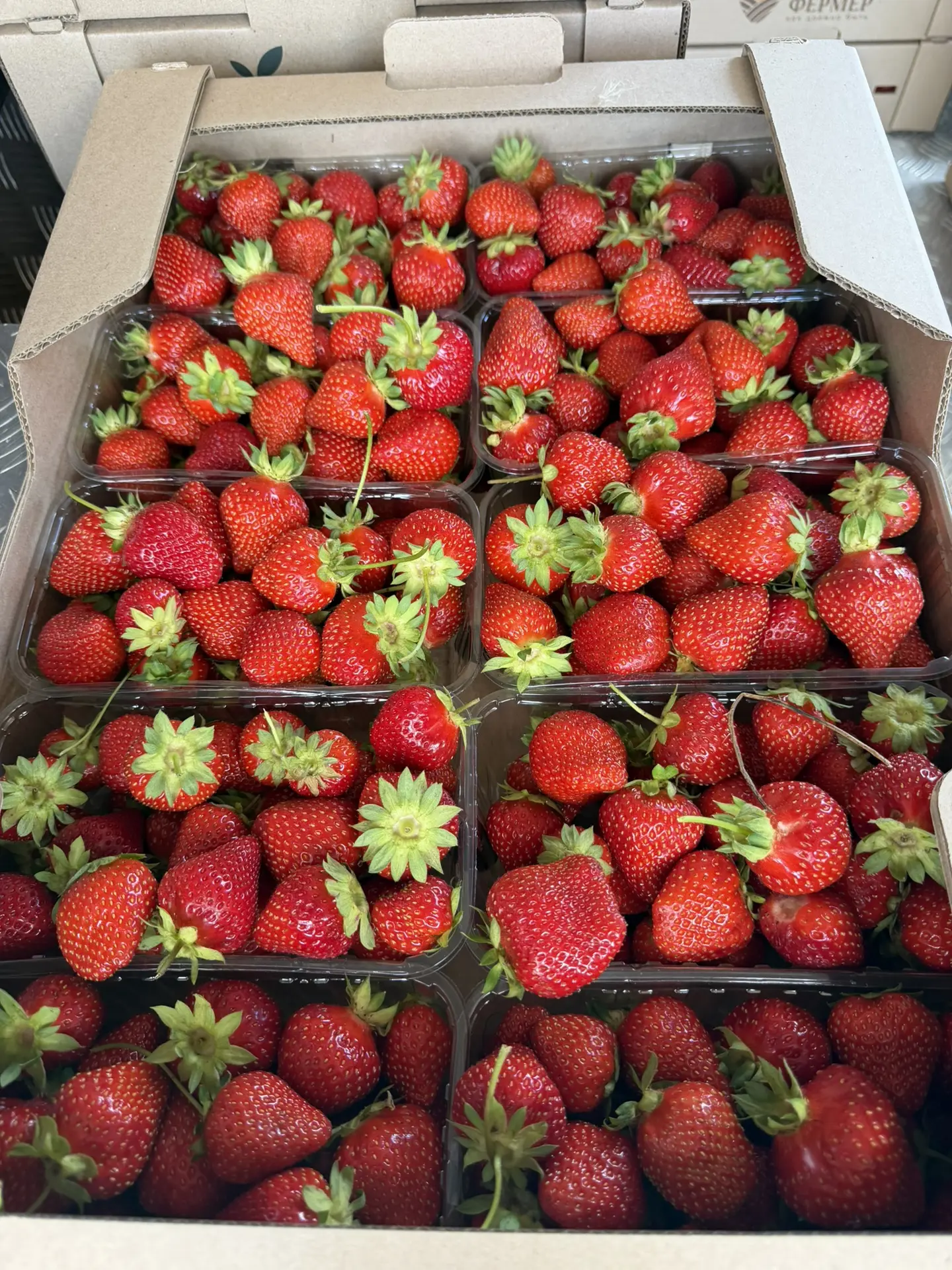 🍓СБОР 06 АВГУСТА🍓