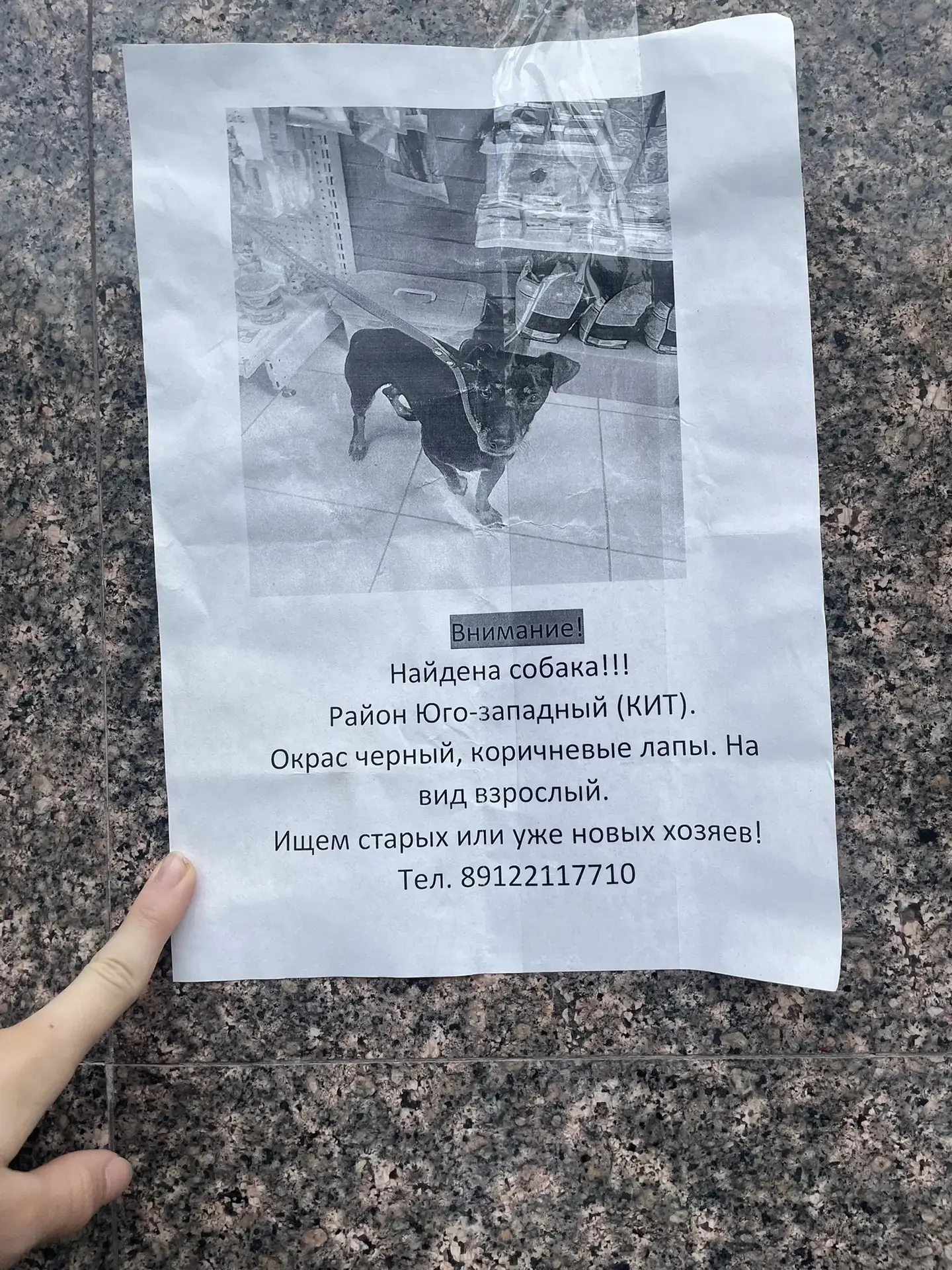 Ищут хозяина