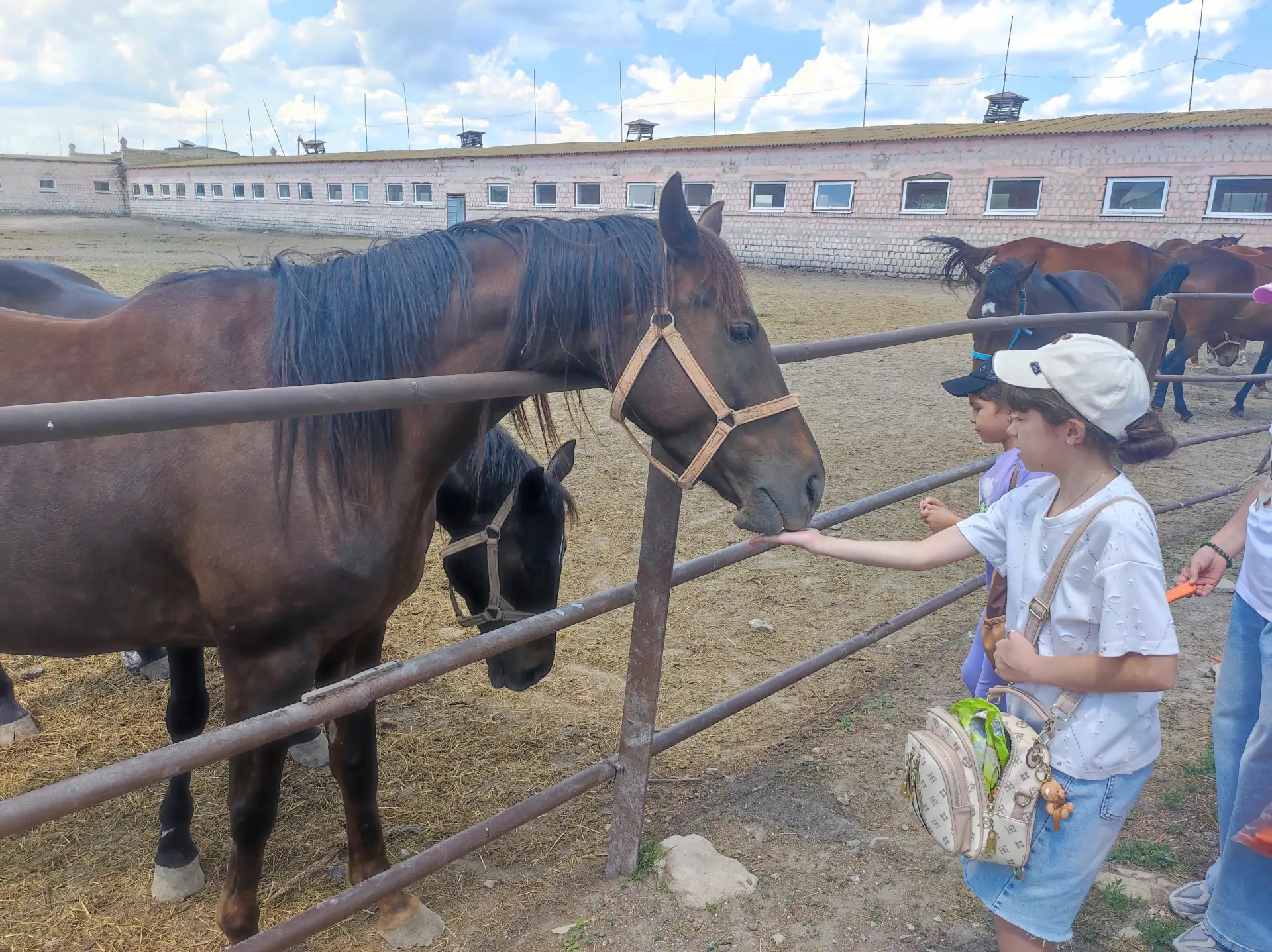 🐴 Сила и грация родного края: наш день в Деркульском конном заводе №63! ✨

Сегодняшний день прошёл 