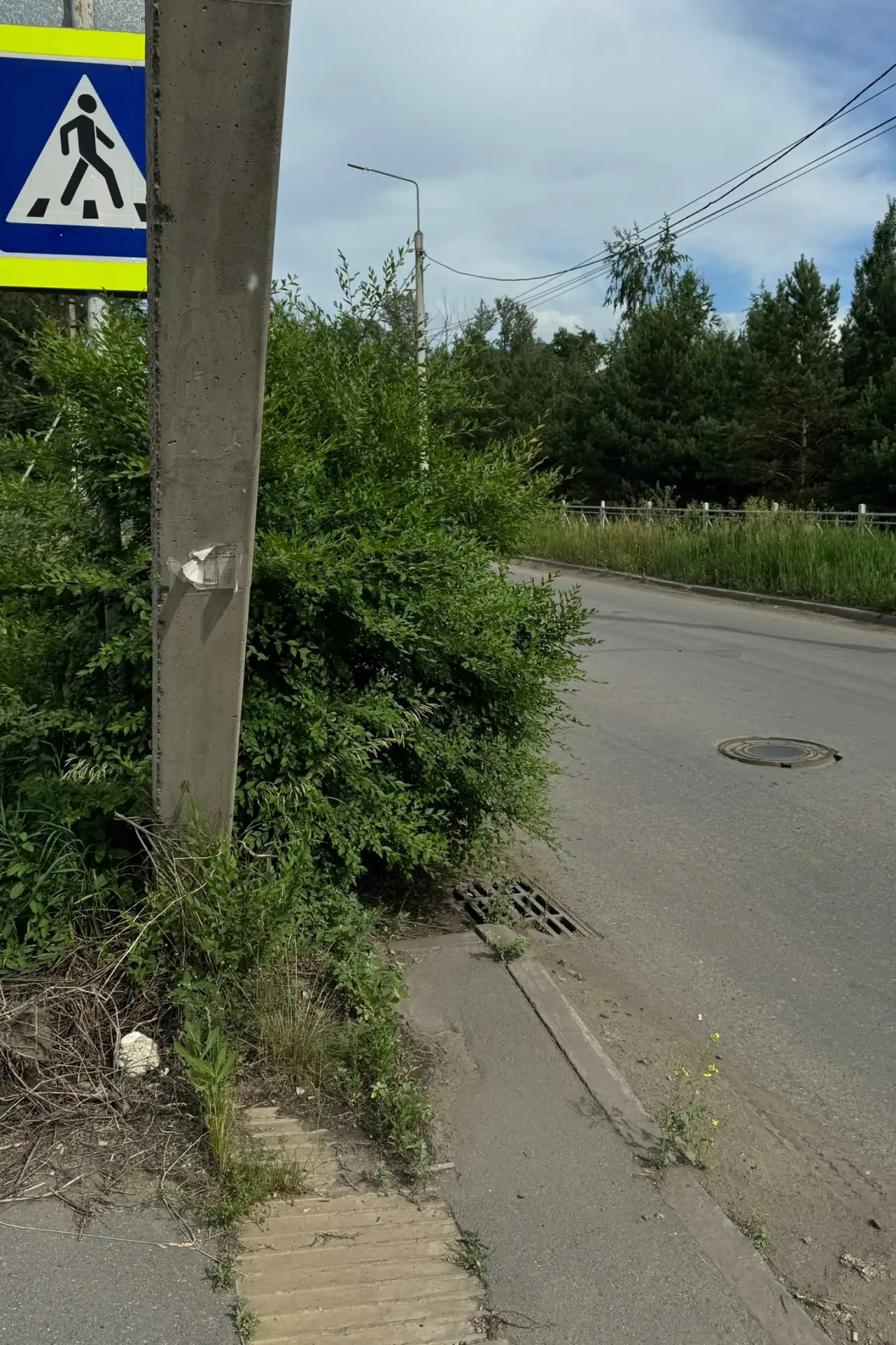 Улица Краснознаменная каждый год стоит в траве по пояс, которая не только мешает проходу по тротуару