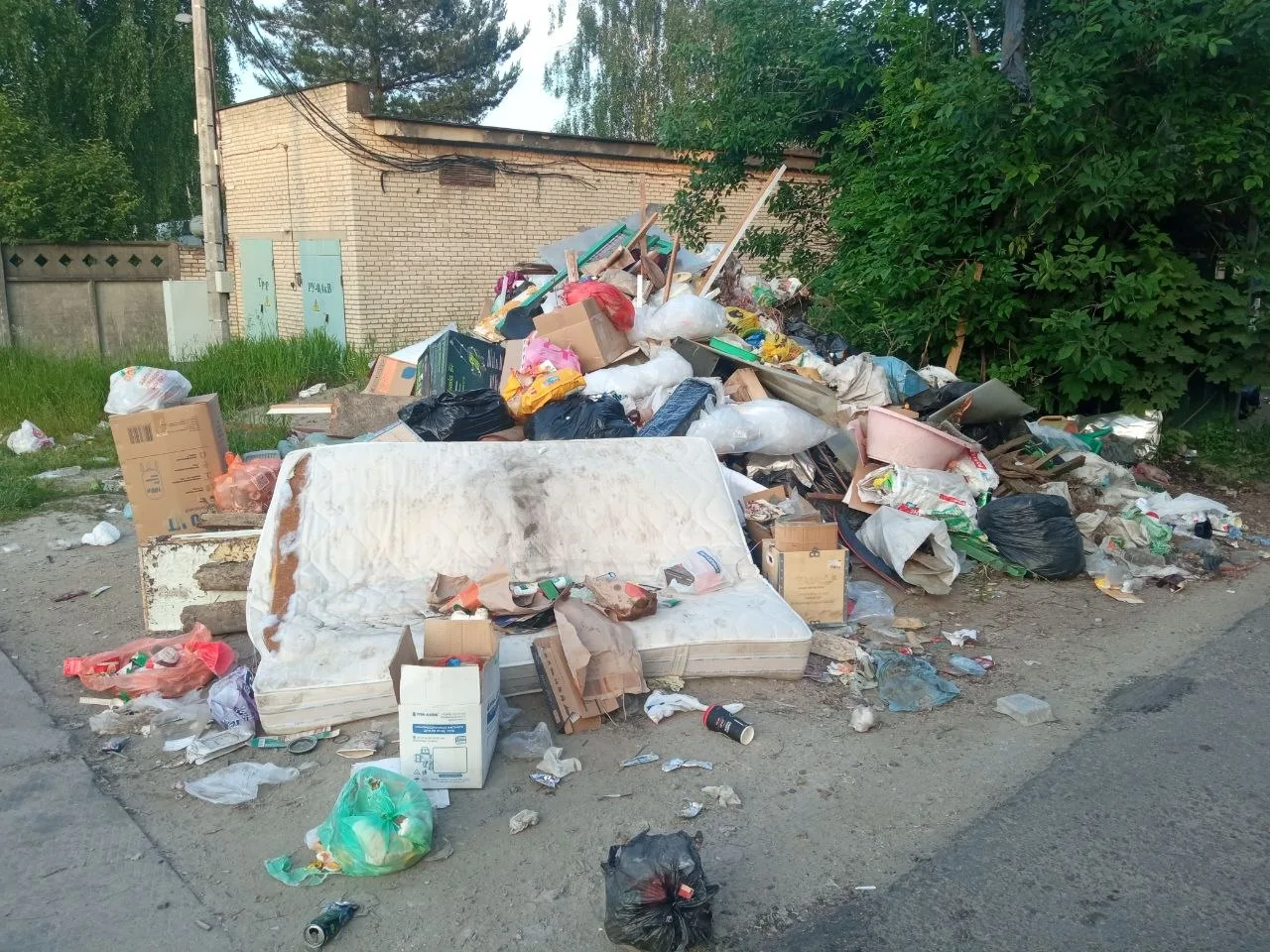В Елизаветино все мусорки превратились вот в это

НЕ ЗАБУДЬ ПОДПИСАТЬСЯ ⤵️