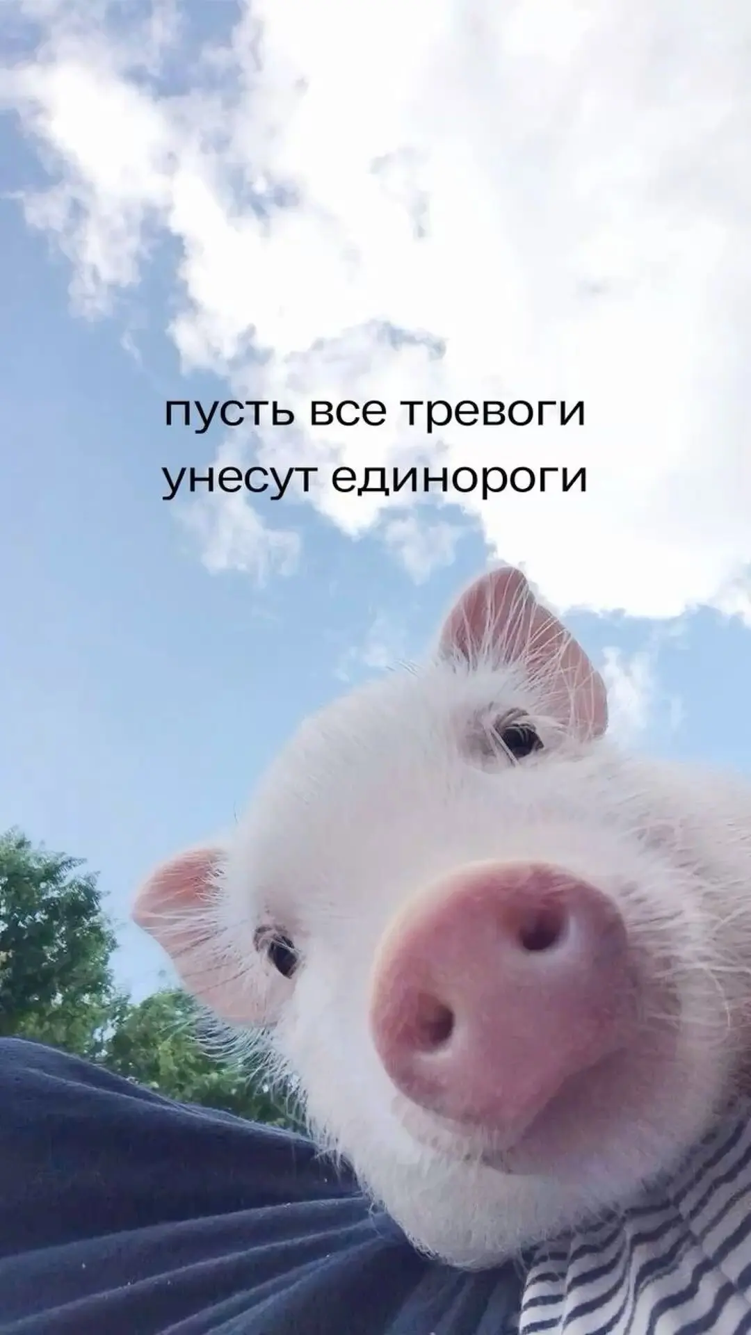 2 июня⭐️