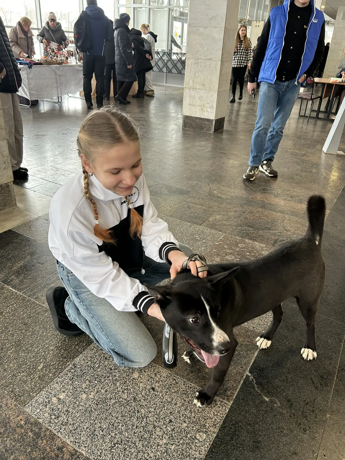 🌸 Первый день весны и День кошек объединила акция помощи бездомным животным "Город добрых сердец"!**
