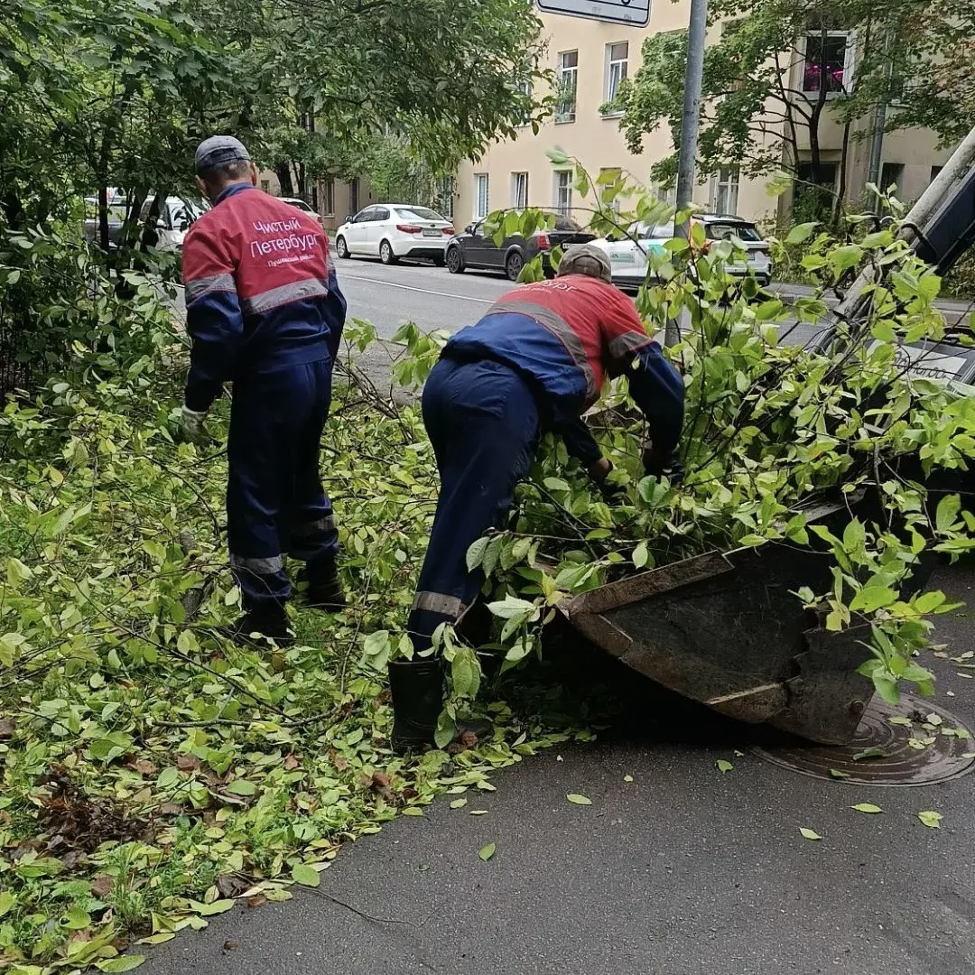 Первый сбор опавшей листвы — это как первый снег для водителей. Ты вроде бы готов, но в...