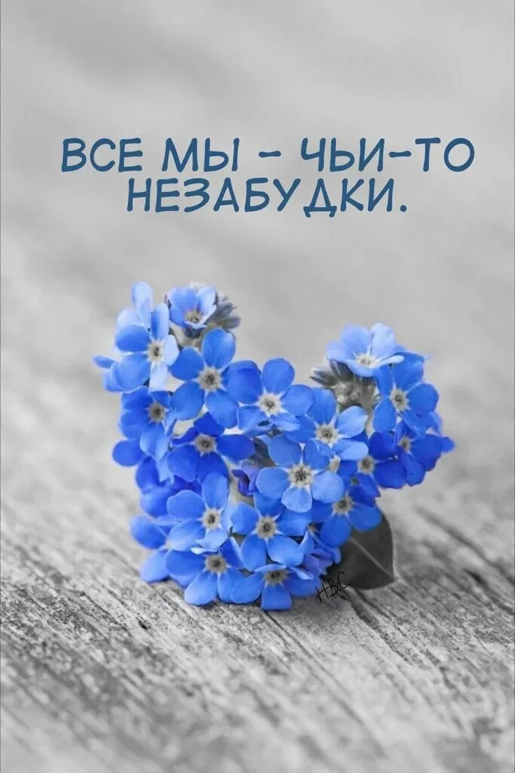 🗂Найдите своего человека

Принимайте людей такими, какие они есть. Либо не принимайте вовсе. Прощай