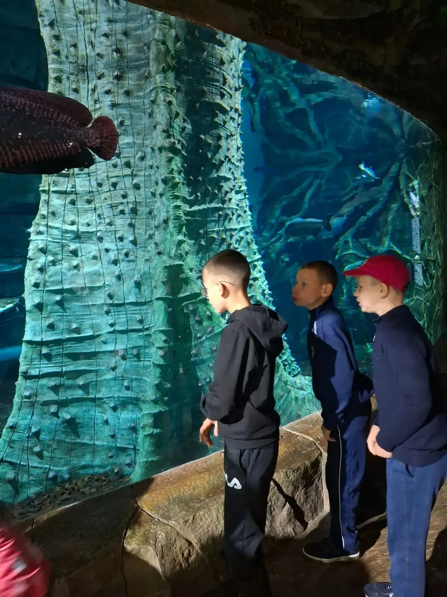 Волшебный подводный мир: Глеб и Арсений Любицкие в океанариуме! 🐟