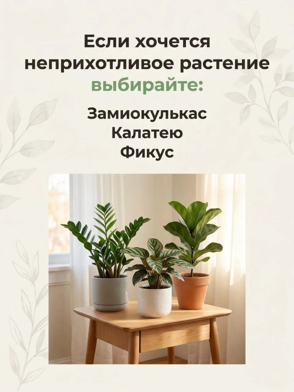 Что подарить на 8 марта? Подарок, который будет радовать годами! 🌸  Букет цветов — это классика, но,