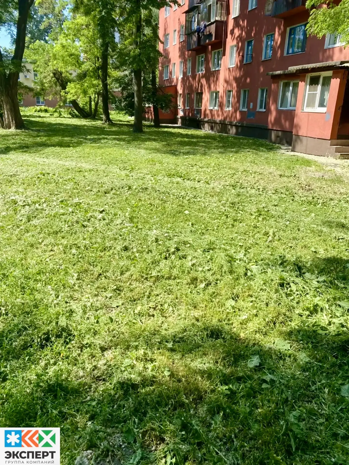 ООО «ГУК N1» произвела покос сорной растительности, по адресам: 2-я ул. Рабочая, д.7, 7...