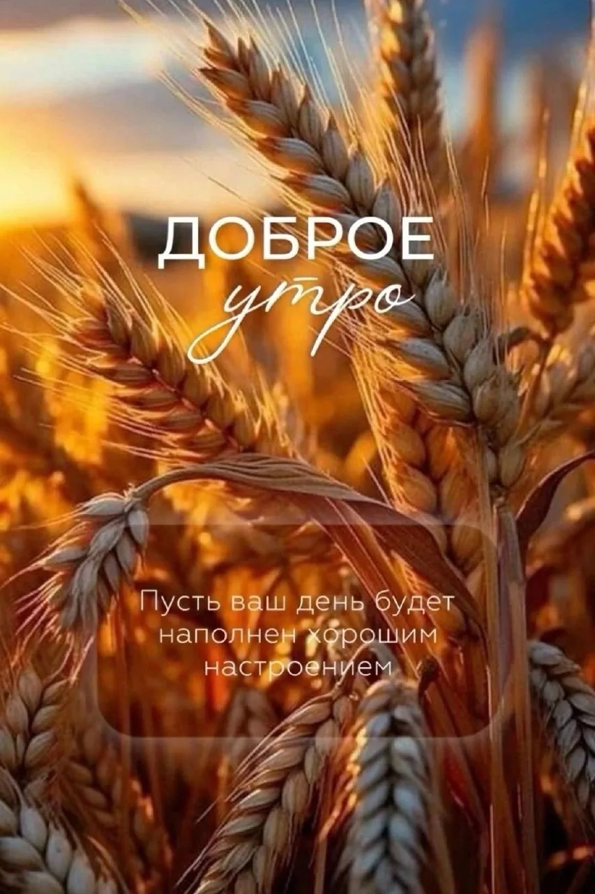 🌷 Открытки подписаться 👈