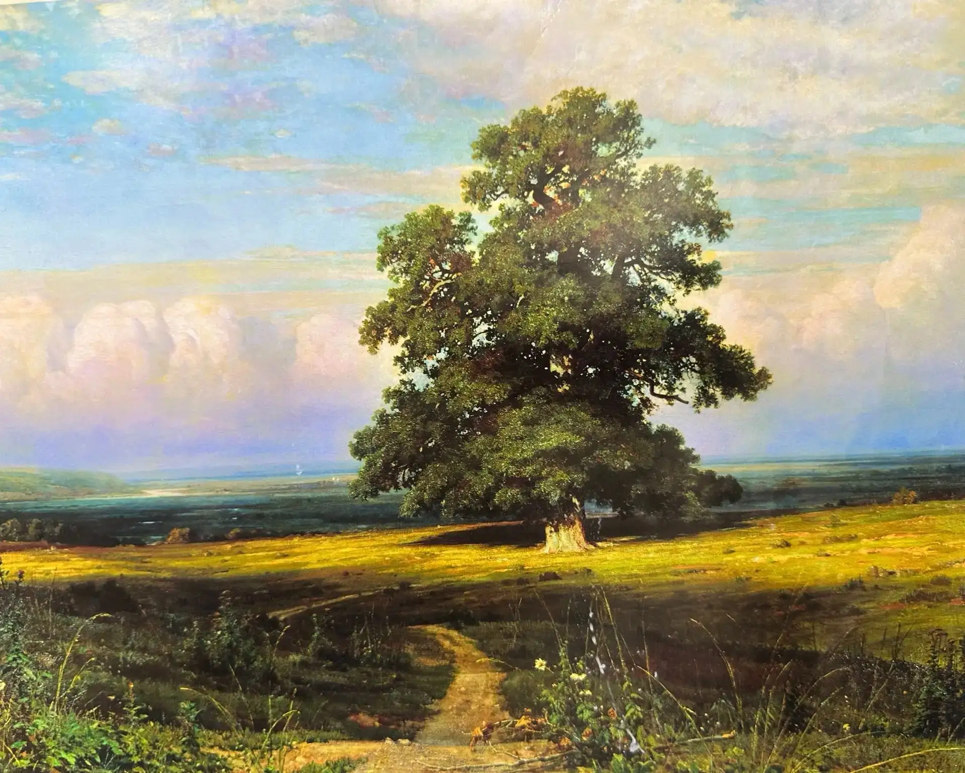 ‎Лесная тишина в красках