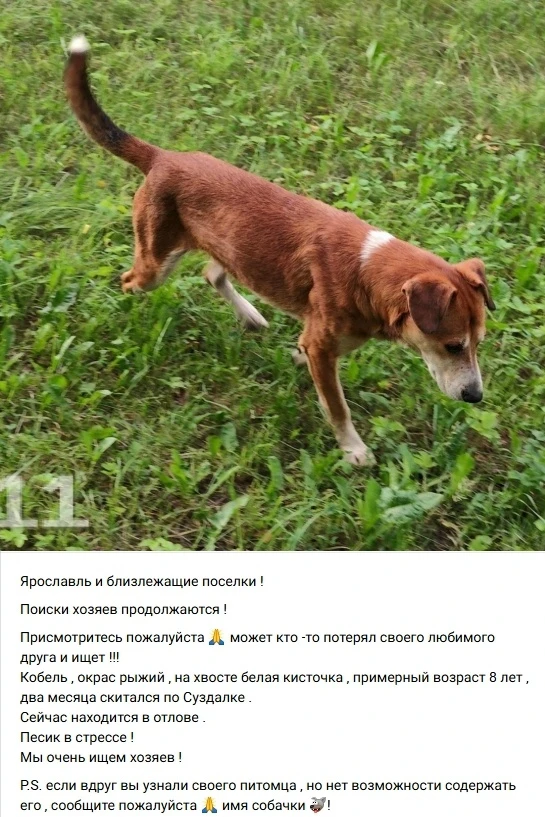 Пост добра. Распространите, пожалуйста 🙏

📍 Ярославль
👉 Подписаться
🔥 Ярославль ЧП