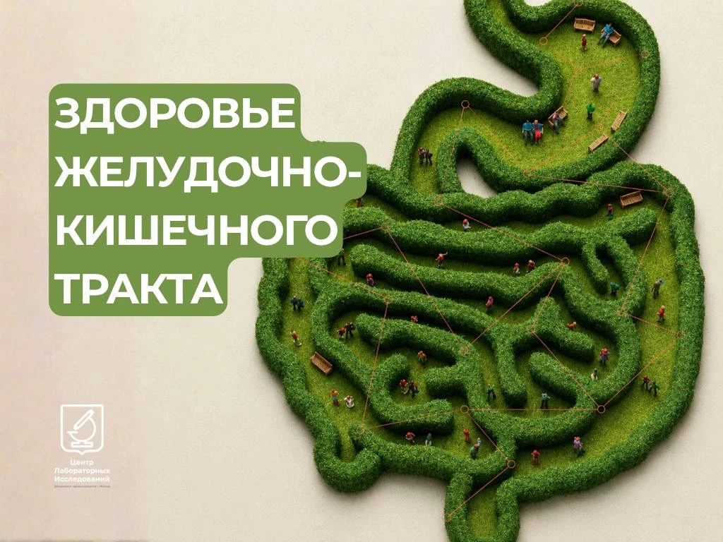 Живот болит у всех — поел не вовремя, выпил газировки, понервничал. Поболит и пройдёт. ...