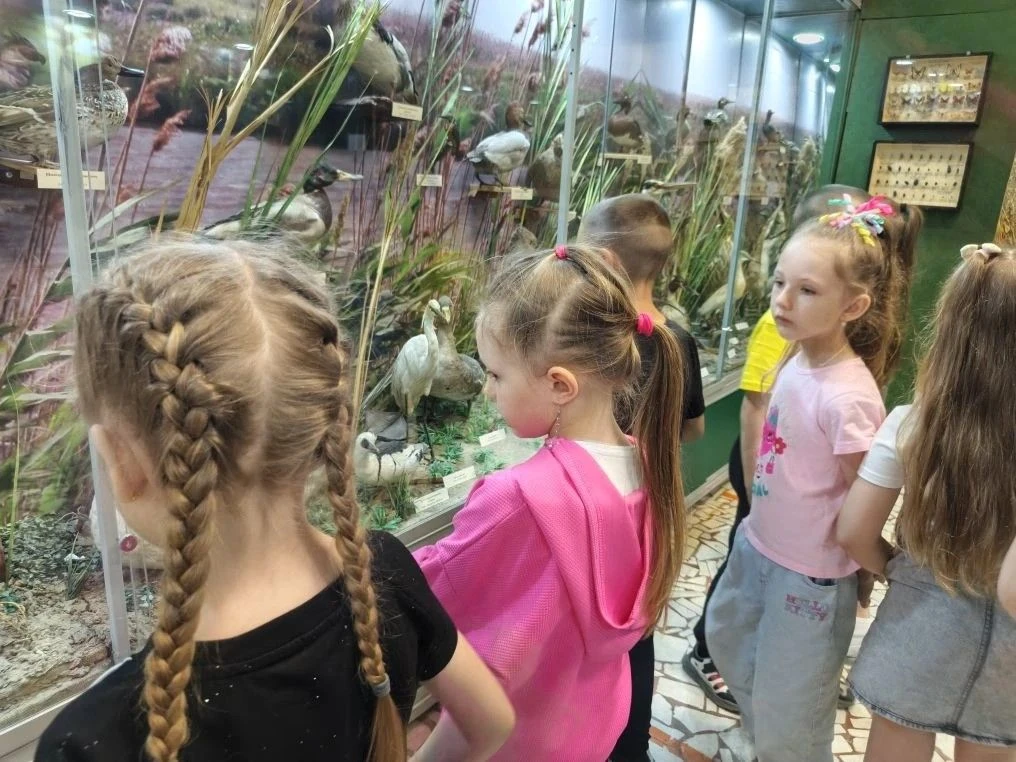 🌿 Путешествие в мир родной природы