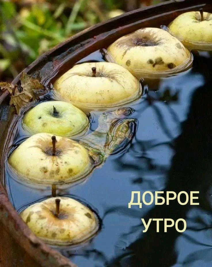 🌞Доброе утро, друзья !