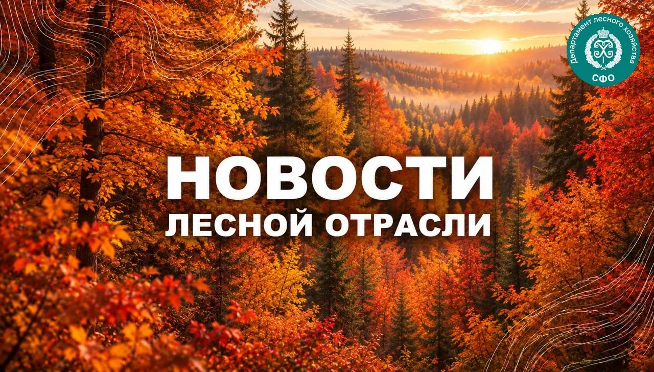 🟢 Шанс: Школьникам Алтайского района рассказали о профессиях лесной отрасли