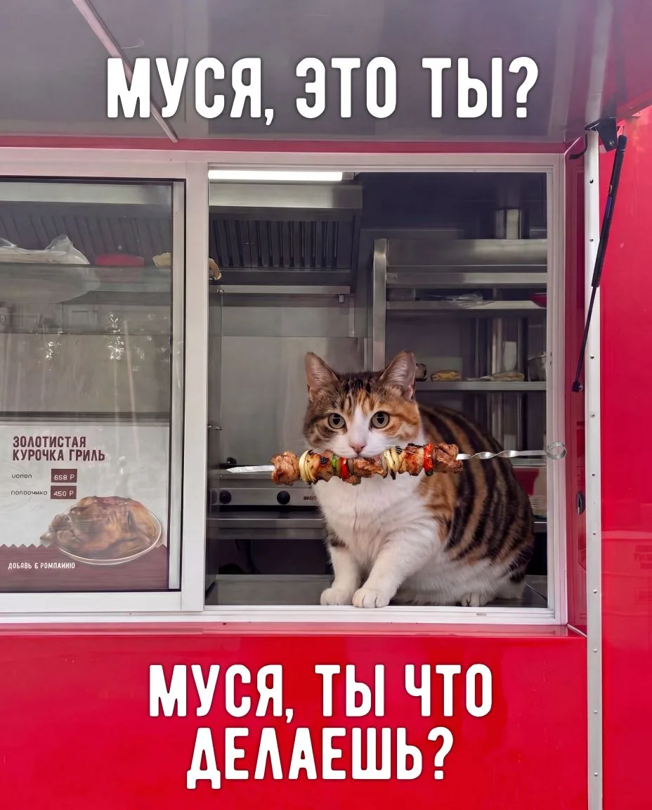 Муся, это ты?