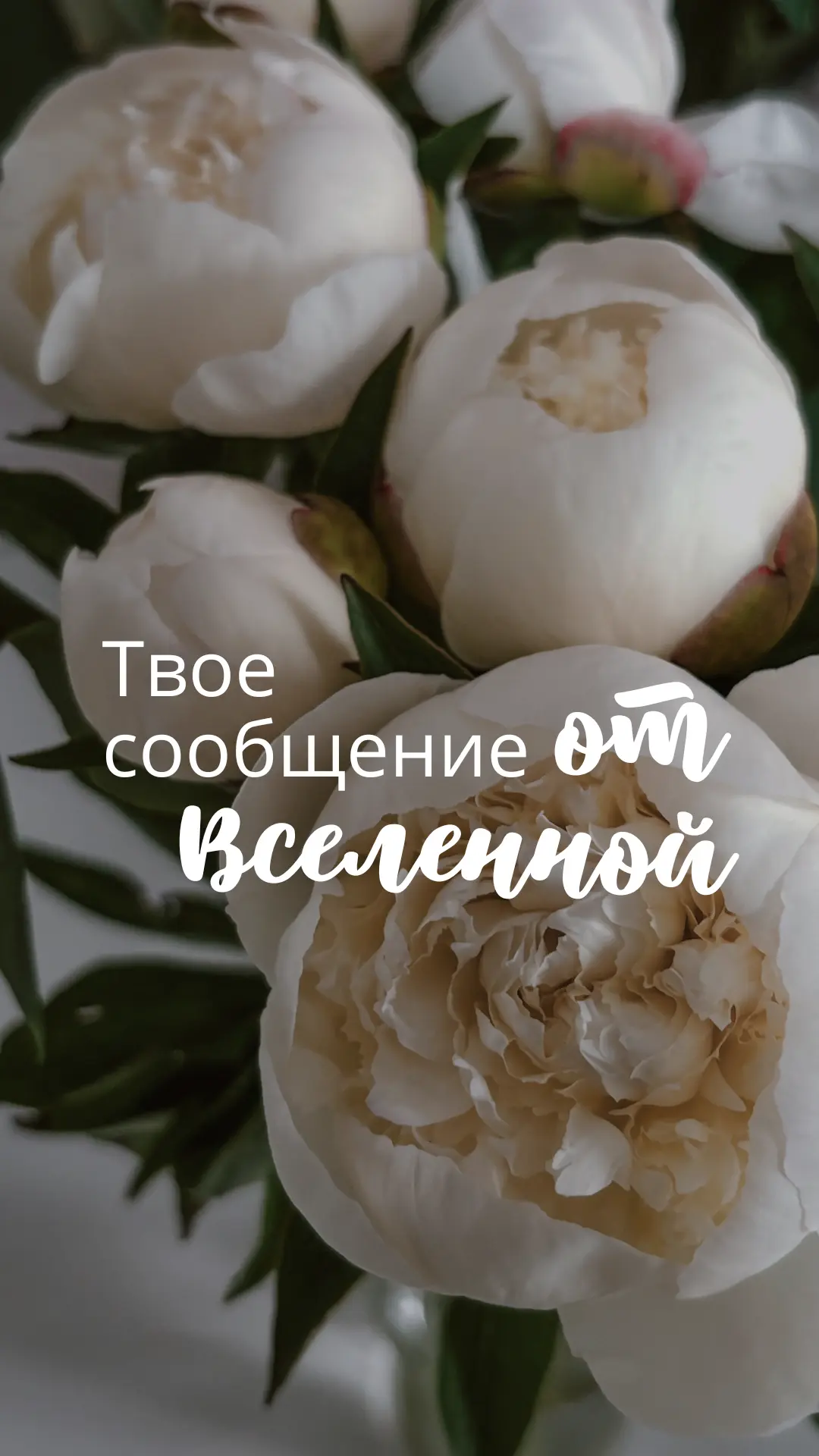 💬 Вам поступило сообщение от Вселенной

Решили зарядить вас минуткой мотивации! Поделитесь с самыми