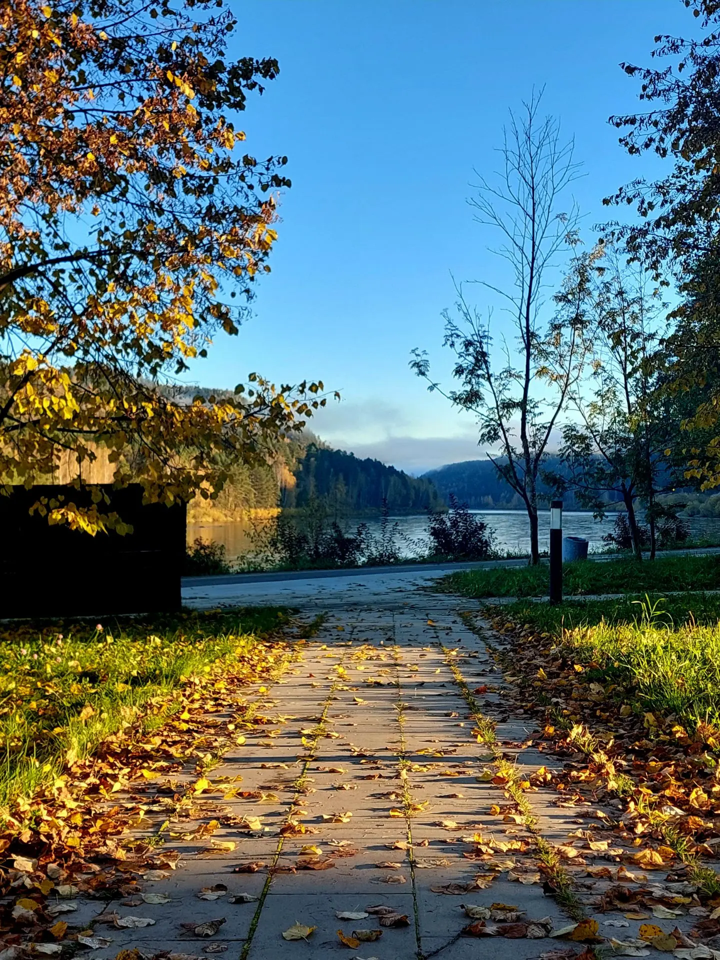 Осенних красок красивые мотивы... 🍂