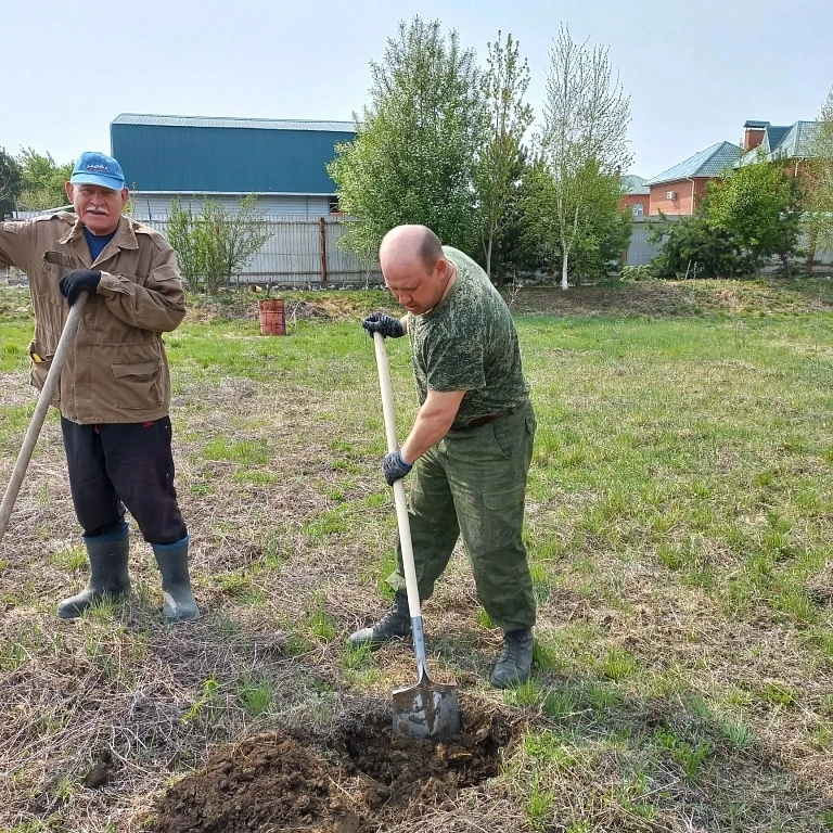 🌳 Амурчан просят помочь придумать название для нового парка, посаженного в селе под Благовещенском  