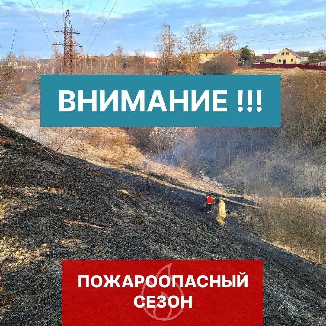 ‼️Памятка о мерах пожарной безопасности в лесах и правилах поведения в пожароопасный пе...