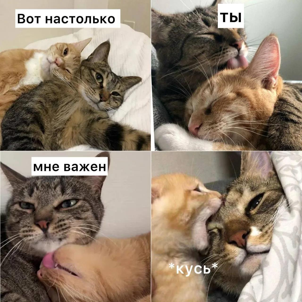 Доброе утро, москвичи!