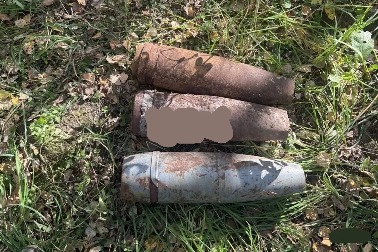 😨 Грибник под Ачинском нашел артиллерийские снаряды вместо тихой охоты