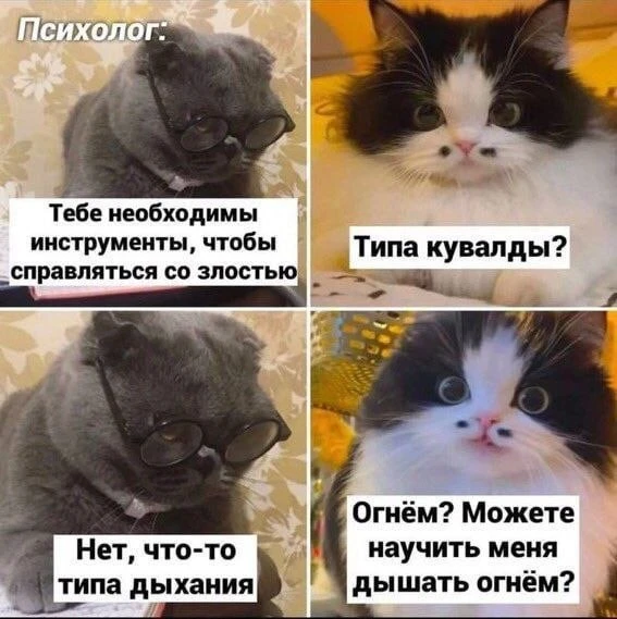 Подписаться на канал: "Котики"🧶🐈