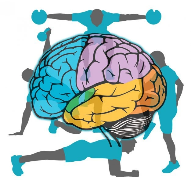 Как физические нагрузки буквально перестраивают мозг 🧠💪🏃‍♀️

Уважаемые родители и наши юные спорт