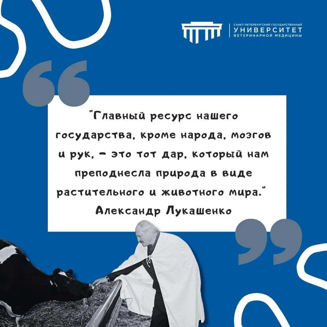 #фразадня #СПбГУВМ
