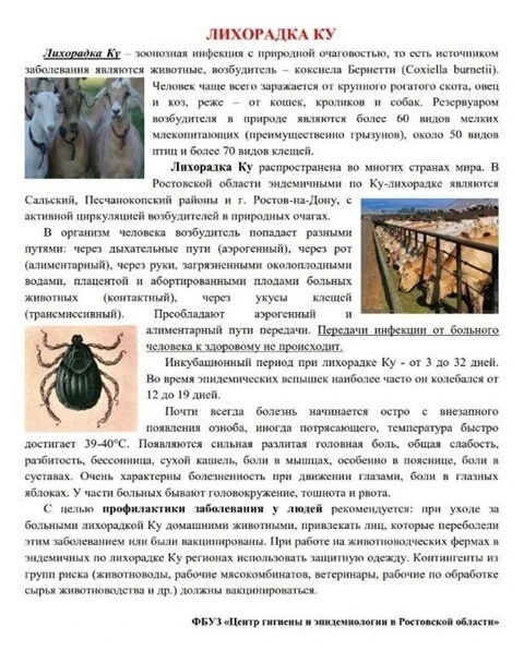 Памятка населению по Лихорадке Ку (коксиеллез)

#АдминистрацияДонскогосельскогопоселения 
#Орловс