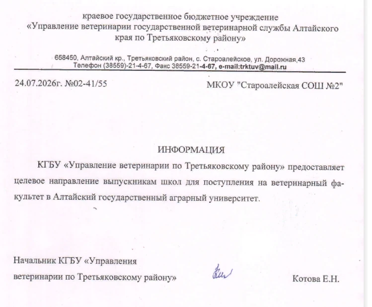 Медиа публикации