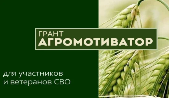В 2026 году в Кировской области введена новая мера господдержки – грант «Агромотиватор».