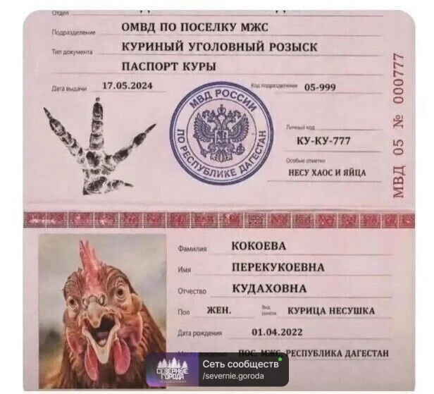 😀Зарегистрировала свою.🐔🐓