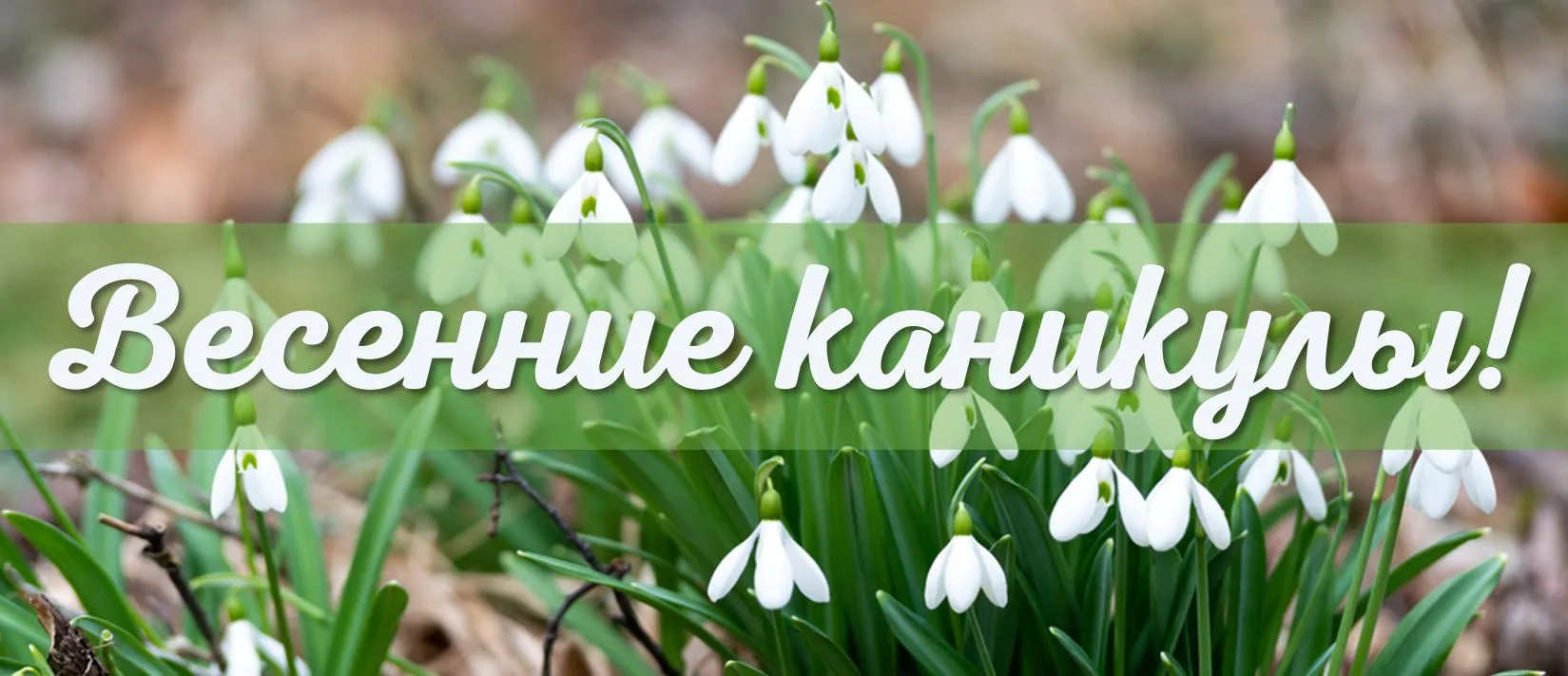❗Весенние каникулы: правила безопасного поведения